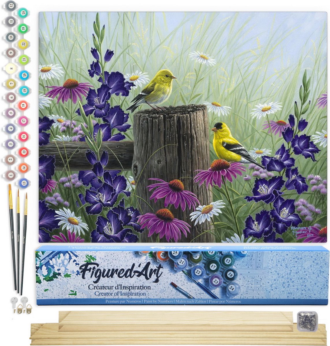 FiguredArt Schilderen op Nummer Volwassenen canvas Goldfinch Paar - Handwerk acrylverf Kit DIY Compleet - 40x50cm met DIY houten lijst